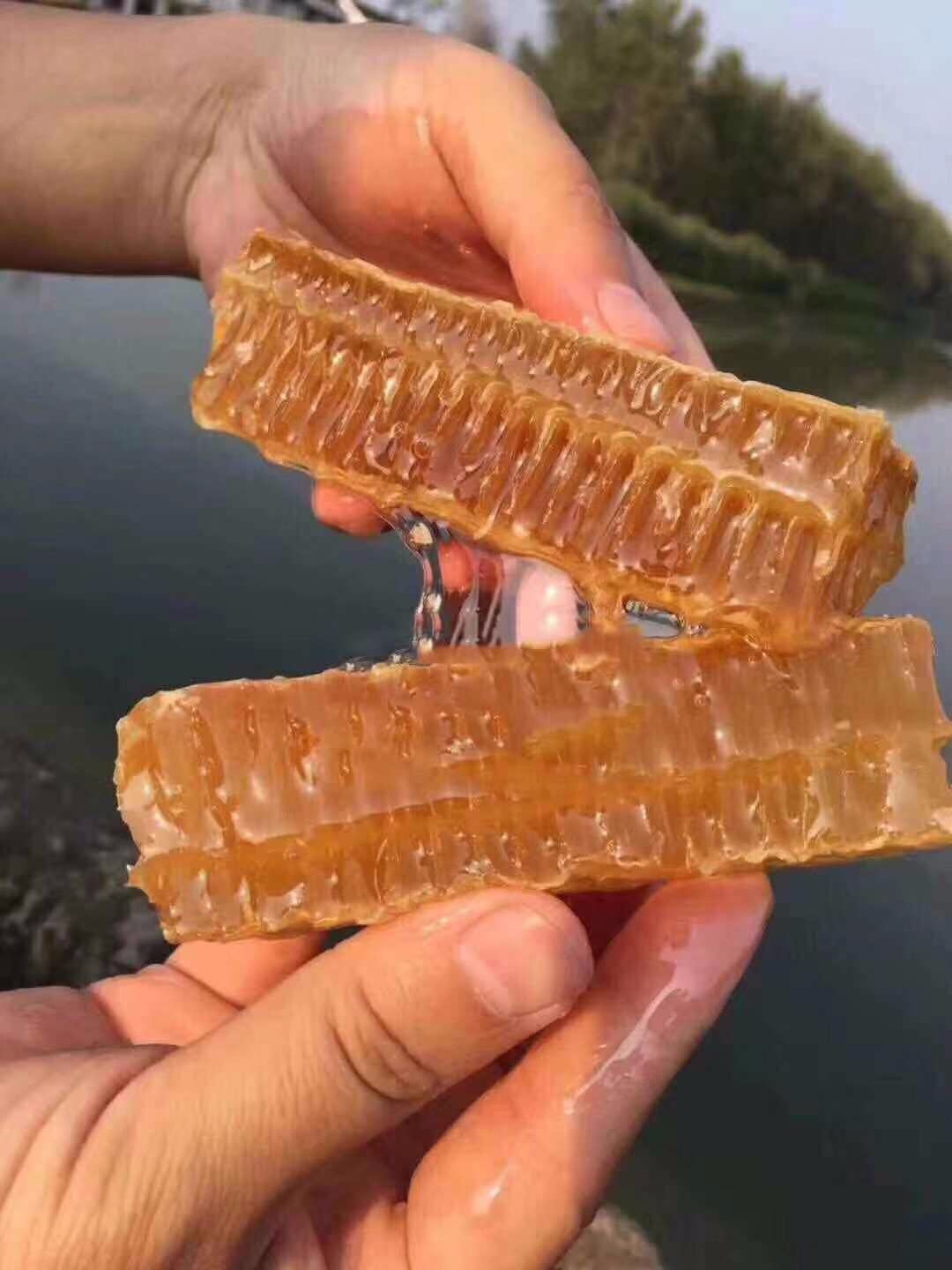 蜂巢蜜500g 秦嶺深山原生態純正蜂窩成熟蜜 批發 一件代發