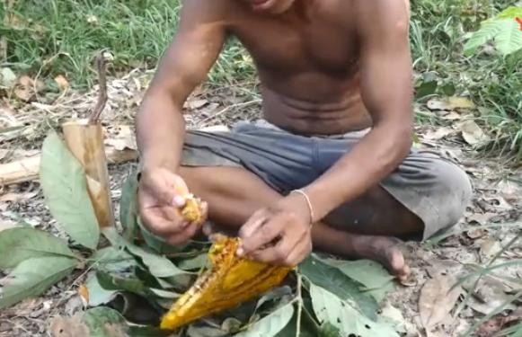【视频】丛林发现纯天然蜂蜜，用这个方法采集下来吃掉