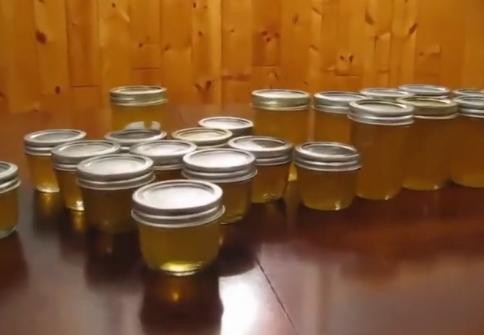【视频】蜂蜜制作过程！