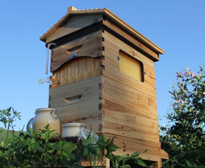 自动流蜜蜂箱，自动取蜜塑料巢框，【意蜂套装】